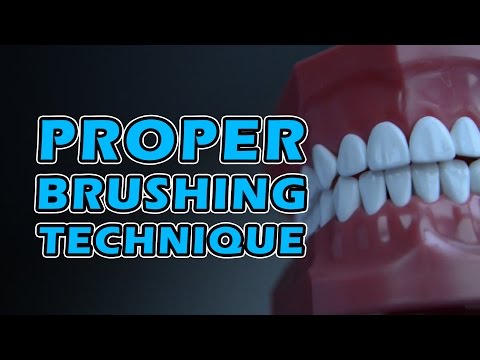 Proper Brushing Technique - How to Brush your teeth