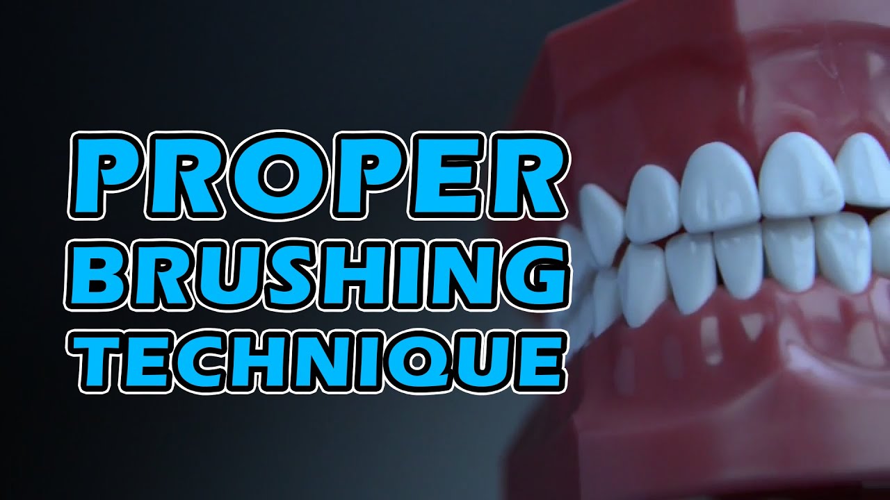 Proper Brushing Technique - How to Brush your teeth